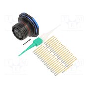 D38999/24ZD35SN Connector: military; socket; female; PIN: 37; straight; crimped O9LqaxRPfI9PpKy2FZP2l5dTAsFoPnh0WRt6IUWdtBg