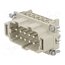 10192000 Connector: HDC; contact insert; male; EPIC H-BE; PIN: 10; 16A; 500V iyd57nkJg226_Mnz0hbayhkD2ML--nYU8swpN87m8Hc