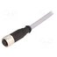 21348500C79100 Connector: M12; plug; female; PIN: 12; straight; cables; 10m nKjlIadZRQAWhaY-eKpA7wlxOiFzpWvbb_Oo7fe-AVw