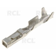 CONECTOR PIN for CJL40xxL CJL4000L.jpg