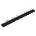 LIZDAS 1x40pin  2.54mm, 3A 250VAC, kampu, lituojamas CJL4401K.jpg