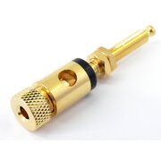 SOCKET ø4mm 'banan' type, long/gold/black CLI164J.jpg