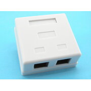 WALL UTP OUTLET 8P8C 5cat., 2 Female CRO312.jpg