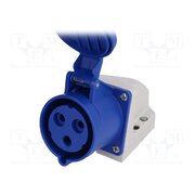 123-6K Connector: AC supply; socket; female; 32A; 230VAC; IEC 60309; IP44 KEiWrKRqaI3-mcpk12nU0nFbnio82ylUP89l-WwwAZc