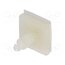 8GB07V41026 PCB distance; polyamide; L: 9.5mm; self-adhesive,snap fastener NhN4tnVQW5uGaWcGC0d5AO19ppM0RR13-GZsP5THwo0