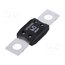 0298060.ZXB Fuse: fuse; 60A; 32VDC; automotive; 68.6mm; M8 screw; mega IhEEqBaM7Z5Km5v1yXiJlmvyAZAMzSF2h7n7LrMAz6M