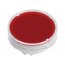 AT4179JC Cap; Ø19x9mm; red,transparent; LB Panel Seal 09dxhmZbQjee6fCEwy9_gMp5z-pHjDPeitE69HiT5Lc