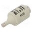 DIIGG50V6 Fuse: fuse; 6A; 500VAC; 500VDC; gG; industrial; DII nEOMgwPDGfJ00D-fJ00DyAHQHhP0Vgdzplq7PClH8Fk