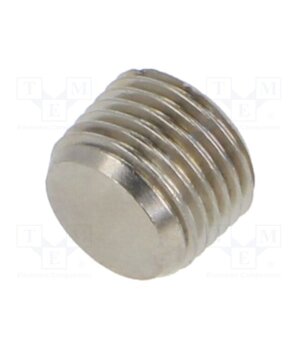 3025 1/8 Accessories: screw plug; R 1/8" external; nickel plated brass fiNphW3YFay-48XyL6uAKp_ZdJzKkWOMYCAt_Vdw7ME