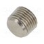3025 1/8 Accessories: screw plug; R 1/8" external; nickel plated brass fiNphW3YFay-48XyL6uAKp_ZdJzKkWOMYCAt_Vdw7ME
