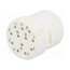 09151123101 Connector: M23; contact insert; PIN: 12; female; crimped; 8A; 200V etvkNnOPDNsG3Dn1Lispo-0EZquRAlYMnaSrTgiyFVg