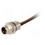 933146001 ELST 3308 RV FM 805 Connector: M8; 0.5m; male; PIN: 3; 60V; IP67; E; with leads; socket rw-_qyjKVN4y_xu7d5BrHreWlczIUBEwBB3ioPvZeMc