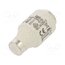 002313405 Fuse: fuse; 40A; 500VAC; 500VDC; gG; ceramic; DIII; D 7KwJF1HzdrRzsBQfMk_5lYXP2Tl81HFJA_ZZYbVbrbU