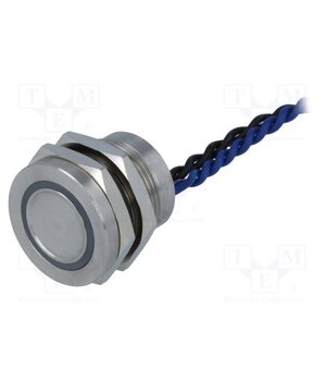 PS193P10YSS1B12T Switch: piezoelectric; Pos: 2; SPST-NO; 0.2A/24VAC; 0.2A/24VDC frEwv6maGXiTPIltQX7rbdl6RdrOmFGrwx_DPmICGa4