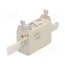 004184207 Fuse: fuse; 25A; 500VAC; gG; ceramic,industrial; NH1C; WT-NH xyhPiJM0z9QIRybhvGb9b2wV0ZINWwG1l2Tt6UtxW-I