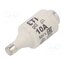 002312404 Fuse: fuse; 10A; 500VAC; 250VDC; gG; ceramic; DII; D aIj-KxKGtYWIBfjmF_2Vpcn6SNw7z3S1JX7HhXx8XJw