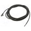 XZCP0666L5 Cable: for sensors/automation; M8; PIN: 3; angled; 5m; plug; 75VDC zPNmPGeaqGMn7mVpB43odNZz9BPcrVWV4o7Tzj1lE1w