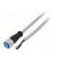 YF2A14-020VB3XLEAX Cable: for sensors/automation; M12; PIN: 4; straight; 2m; plug; 4A; Y jYowKRPirwadnVFGqiKMLf_d2jTjtbJfUGrzq_CccEo