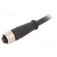 ADOGH080MSS0010K08 Connector: M12; plug; female; PIN: 8; straight; 36V; IP67; cables vYZfMFRA0AOXzntQJYKtiYPSXdYebFy-WbX2Z_bpfsc