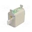 004182414 Fuse: fuse; 100A; 690VAC; aM; ceramic,industrial; NH00; WT-NH 1qoyaMWjuMDOvy6z00tMeOxB8caxrEqy9_7GFoi-9Zo