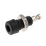 LIZDAS ø2mm 17mm bananinis juodas, 60VDC 10A CLI1427J.jpg