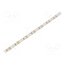 HH-S120F008-2835-12 CW WHITE PCB IP20 LED tape; white cold; 2835; LED/m: 120; 8mm; white PCB; IP20; 20W/m LuUIvKt9kkcmE_xwU2x2s1ZhH-0eJKrR189X2AD06wQ
