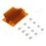 ATS-1099-C1-R0 Heatsink: extruded; grilled; BGA; golden; L: 58mm; W: 37mm; H: 11.4mm 0jOhC3W69AWk6nVw1_wJceeK07RB6ABH-UVsTyZ0xCU
