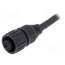 CA0161B01305012 Connector: circular; plug; PIN: 4; female; cables; ECOMATE (C016) YB7Z4_UyGFj_LHaMNBSGHjhhty3nJ1Oqphs9JZw8XXg