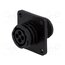 182921-1 Connector: circular; socket; female; PIN: 4; w/o contacts; size 11 fgOLnSRckOZPmDRyZ0k-94a0I0p9ISce4sxslqHCEBU