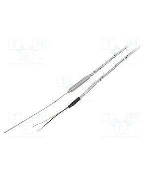 20-40204299-0100.G.TM Sensor: temperature; thermocouple J; Insulation: fiberglass; cl.1 NE0mA1zjPs1pgwNocBvDbq09ZOxDEvbOIyUg-rtHboY