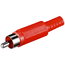 PLUG RCA red CKI140R.jpg