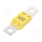 0615100 Fuse: fuse; 100A; 32VDC; automotive XRyMzGiV8ru-ueM7oKogUY4XMejrAeSvAmM1Si9DQhg