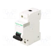A9N18381 Circuit breaker; 230/400VAC; Inom: 125A; Poles: 1; Charact: D; 10kA 2yDgRd76U8-tuRJtJBeTioYXM4zs0c2wQ-ePQ0uxFOo