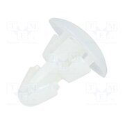 RS3 Assembly stud; polyamide; L: 3.5mm; snap fastener; natural JLkJFikJ5pgymZNE3v_XZGYrRKbOLsDUXgVUTsztrY8