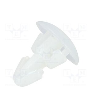 RS3 Assembly stud; polyamide; L: 3.5mm; snap fastener; natural JLkJFikJ5pgymZNE3v_XZGYrRKbOLsDUXgVUTsztrY8