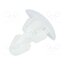 RS3 Assembly stud; polyamide; L: 3.5mm; snap fastener; natural JLkJFikJ5pgymZNE3v_XZGYrRKbOLsDUXgVUTsztrY8