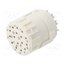 7001916104 Connector: M23; contact insert; PIN: 16; female; soldering; 8A; 1mm Tq-YX5q-BPAx7lbwYmc-Pzlm4fzKZ_yCh33sx0OAsPg