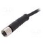 PXPPVC05FBF03ACL010PVC Connector: M5; plug; female; cables; PIN: 3; 1A; straight; IP67; 60V gtfSoBEdzGn4BA_LQwaGOZPzlyoY_JF1bj17SoBAQA0