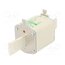 004185422 Fuse: fuse; 315A; 690VAC; aM; ceramic,industrial; NH2; WT-NH sw2HACohOqIHsul1y4inXMPFFBSC9RX4-chqG-Pfqrk