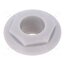 CL14218GY Nut with external thread; grey; Jack socket; S4 yc5N6Asw90I_NDtE14seORDCwDu8CRj6QACneqWo6Y0