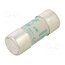 442006 Fuse: fuse; 6A; 690VAC; aM; ceramic,cylindrical,industrial dlwjQLCBKEvmwQlkeDRJZqkUMXvUFcePLVjUMOvwQo0