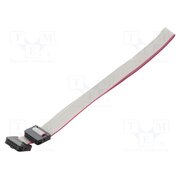 DS1052-01-102B2MA203001 Ribbon cable with IDC connectors; Tape ph: 1mm; Contacts ph: 2mm LSdR4WNKBDEyk2xnrjAcQZEeVfZWfn9QTbMleNCZ3bU