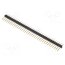 SL 11 124 36 G Connector: pin strips; pin header; male; PIN: 36; SL 11; straight SdurR3KPxrGhvZl-GHYXyChOshx705uVL3z6uZu9I3E