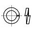 K8/D127-A2 Washer; spring; M8; D=14.8mm; h=2mm; A2 stainless steel; DIN 127B rSYOnL8brDV9oO5KSbP5ux1E8LOfsYvm4QC9FJTpckU