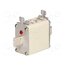 125NHG00B Fuse: fuse; 125A; 500VAC; 250VDC; gG,gL; ceramic,industrial; NH00 jEwl1b7IiEZC7RF7chTWYWfbCJ9feDrN4qBdctGr-Xs