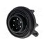 PX0738/P Connector: circular; socket; male; PIN: 6; 5A; 250V; IP68; UL94V-0 2rzdI3-pmaEtuqM1lJEDWD5pUXfeSCZTnGQLsJrfT6U
