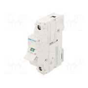 SBN163 Switch-disconnector; Poles: 1; for DIN rail mounting; 63A; 230VAC TBtUEAbUVUNgSpCWNh9Nm2Bd4hF0RqYdBb_KEmYODUw