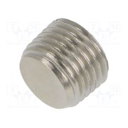 3025 1/4 Accessories: screw plug; R 1/4" external; nickel plated brass QRFR1QXcOeyRd3kep0kg2fPp6OCd2XKrC4U5vByo45w