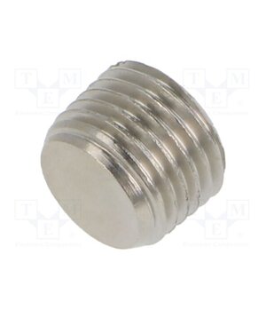 3025 1/4 Accessories: screw plug; R 1/4" external; nickel plated brass QRFR1QXcOeyRd3kep0kg2fPp6OCd2XKrC4U5vByo45w