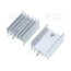RADIATOR 15x10x20mm TO220 silver IRD1402.jpg